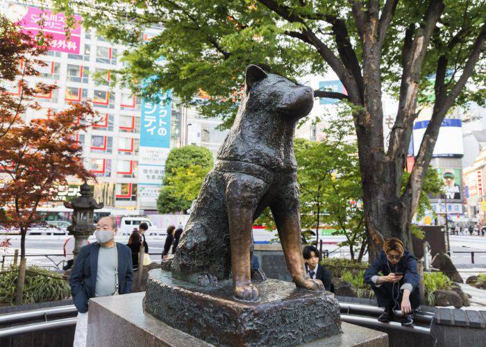 The iconic Hachiko statue in Shibuya.
