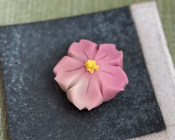 Sakura Sweets Making & Tea Ceremony in Ikegami Baien, Tokyo 1