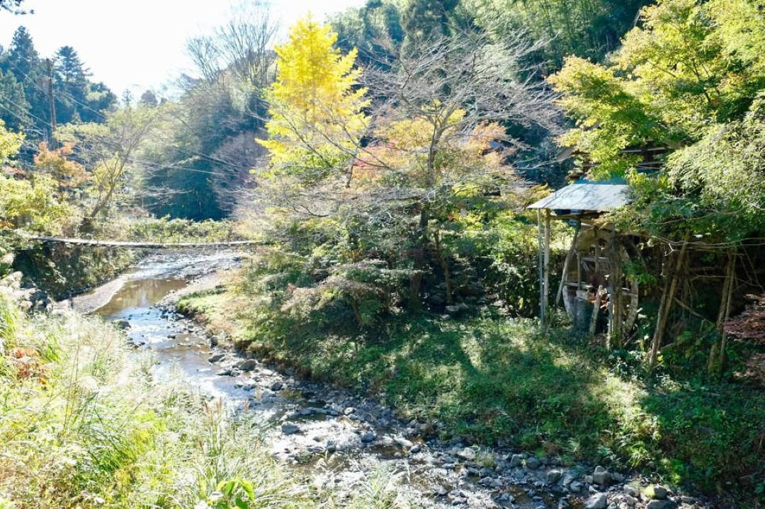 Fishing & Traditional Cooking in a Shizuoka Village 4