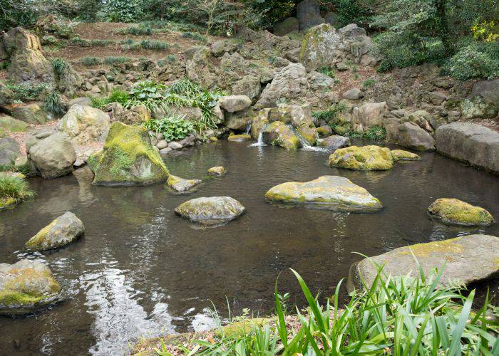 The historic, story-rich pond of Muchi no Ike.