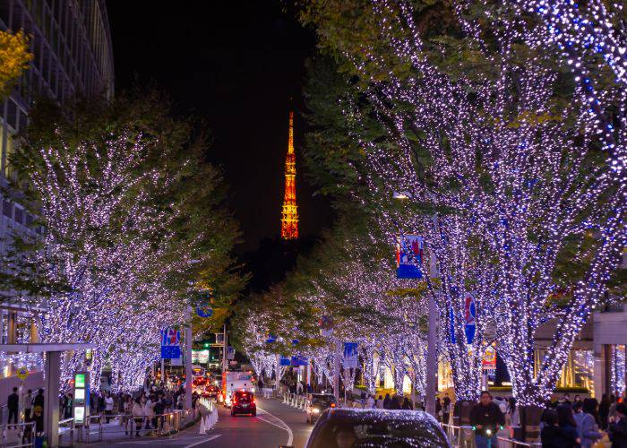 Tokyo illuminated for Christmas; in the distance, Tokyo Tower peeks out.