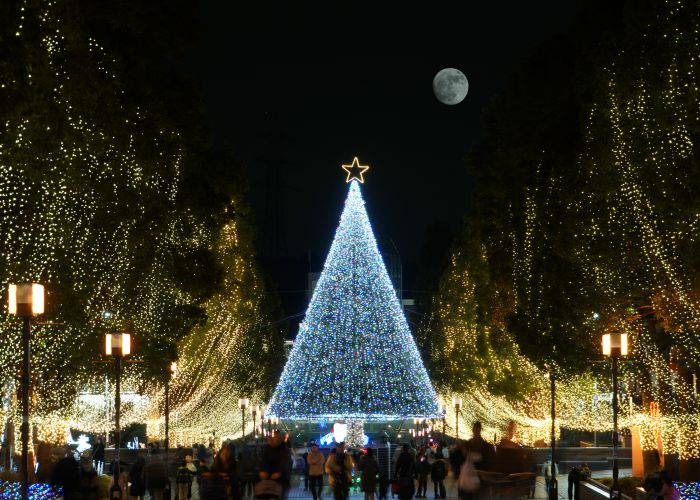 A gigantic, illuminated Christmas tree in Tokyo, Japan.