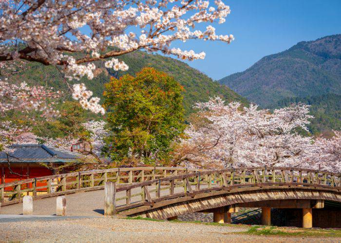 Arashiyama Park Nakanoshima Area in Kyoto during spring.