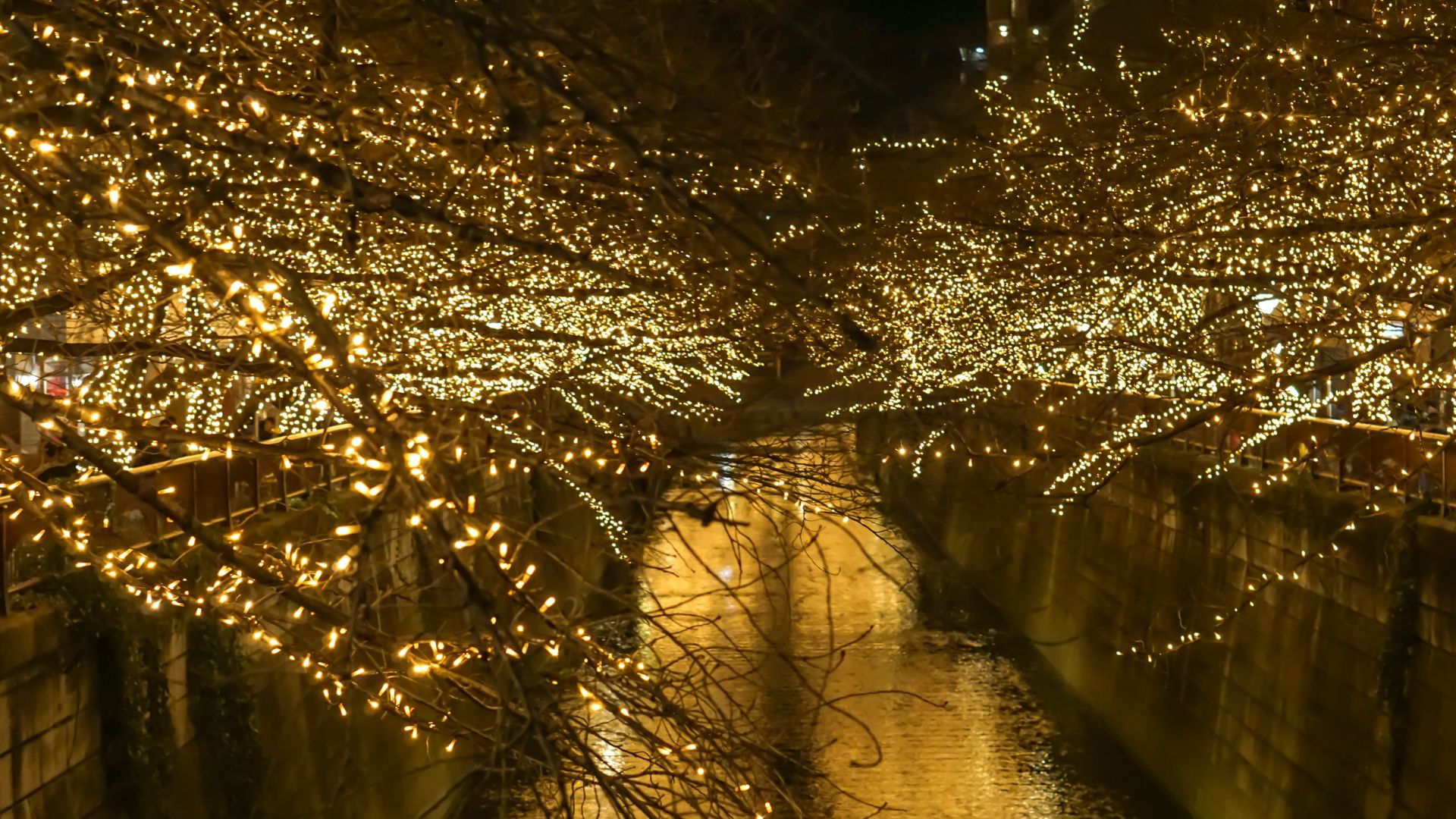 Enchanting winter canal adorned with twinkling golden lights