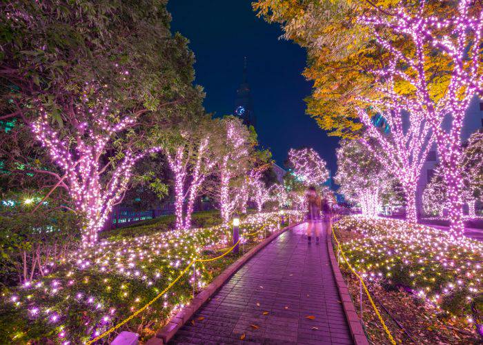 Winter illuminations in Japan at Christmas.