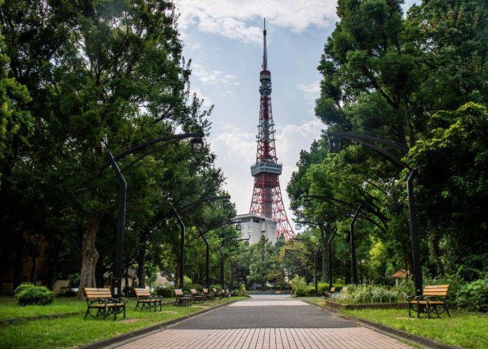 The famous walk of Shibakoen, framing Tokyo Tower with trees on each side.