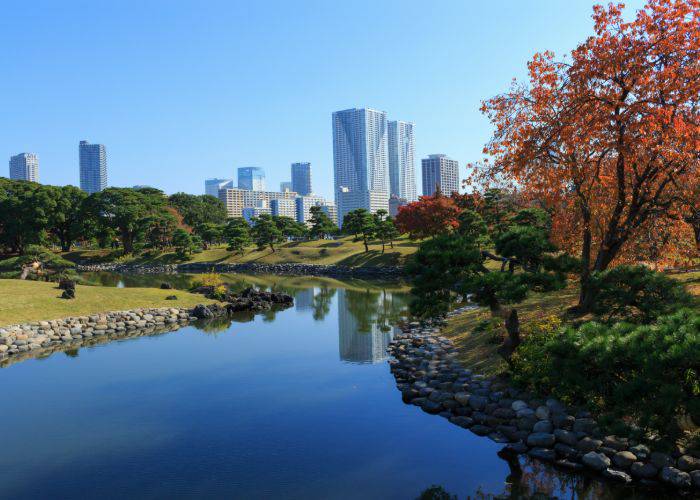 Hamarikyu Gardens as its fall foliage begins to change color.