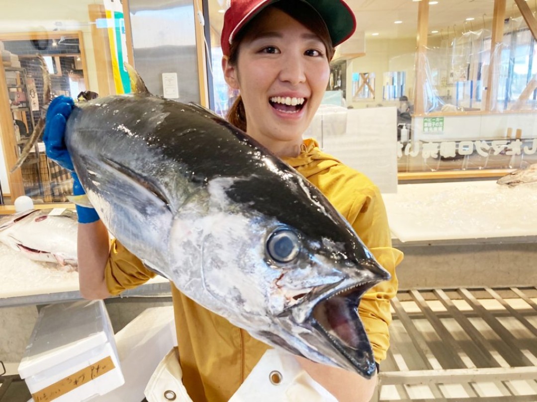 Nachikatsuura Tuna-Cutting Experience & Premium Dining 1