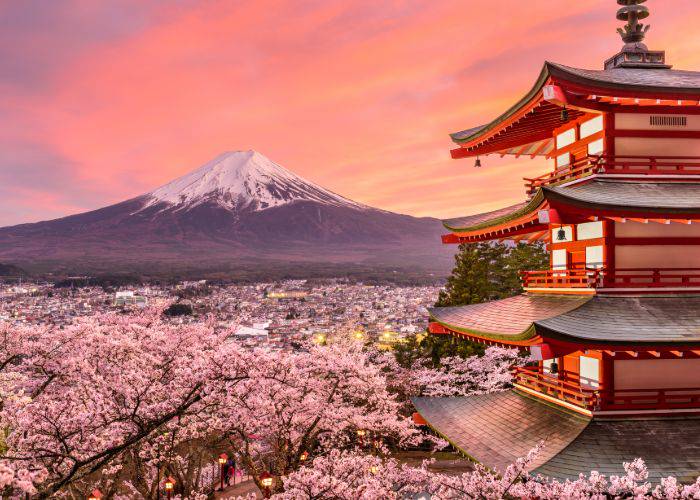 Mt. Fuji seen from Arakurayama Sengen Park with cherry blossoms blooming by the five story pagoda