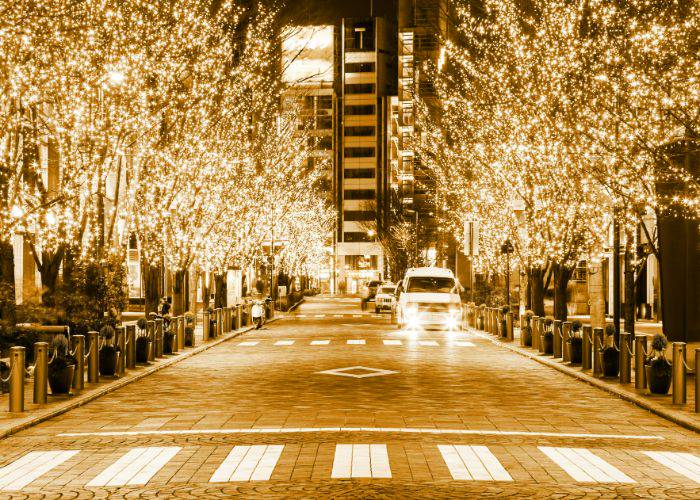 The paths of Tokyo lit up for winter illuminations.