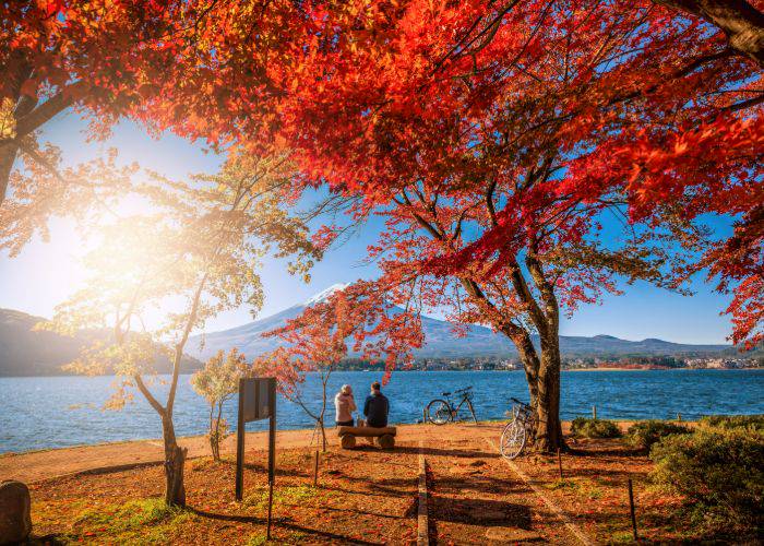 A couple sitting on a bench, looking out at Mt. Fuji from between fiery red fall foliage.