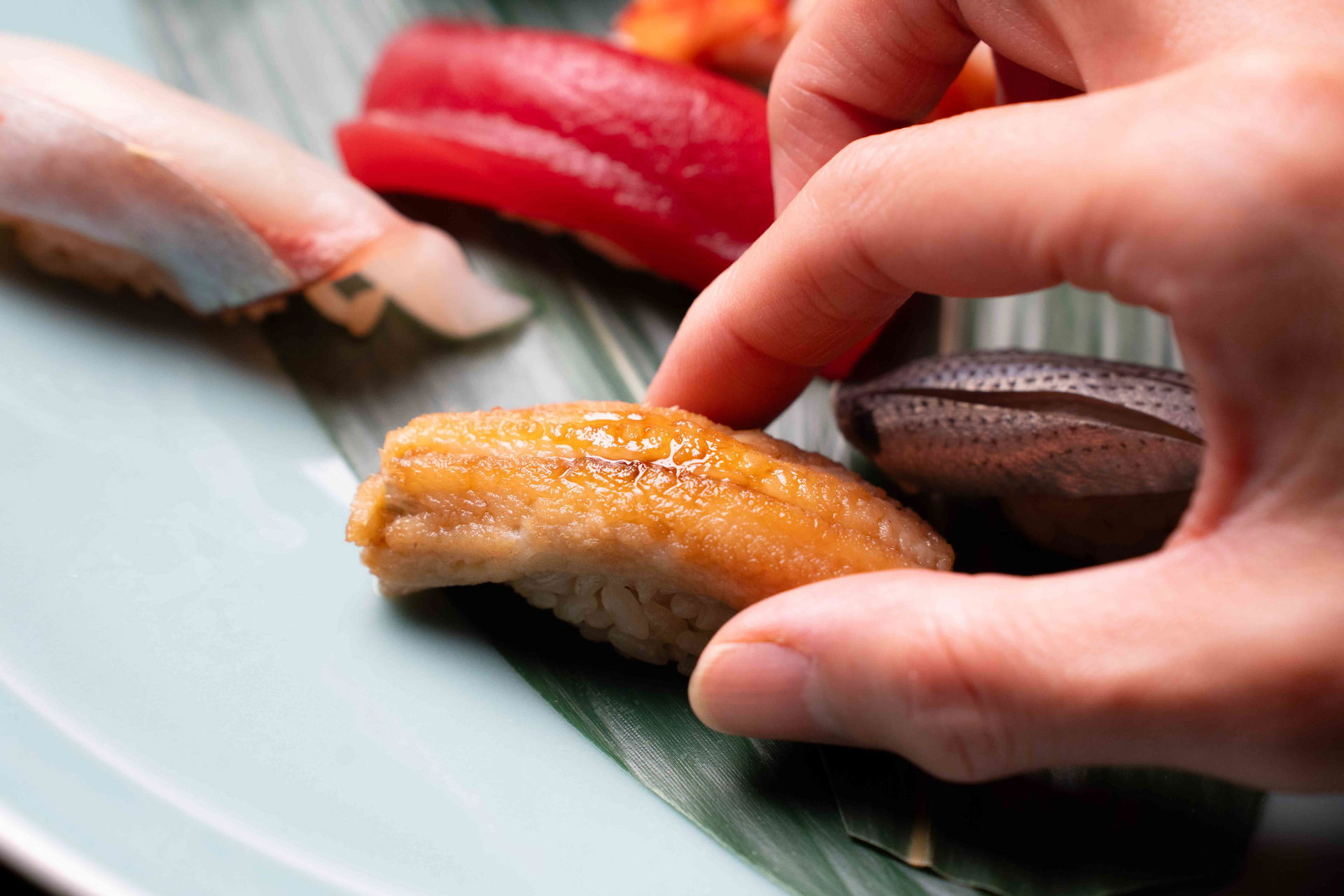 An example of different types of nigiri sushi.