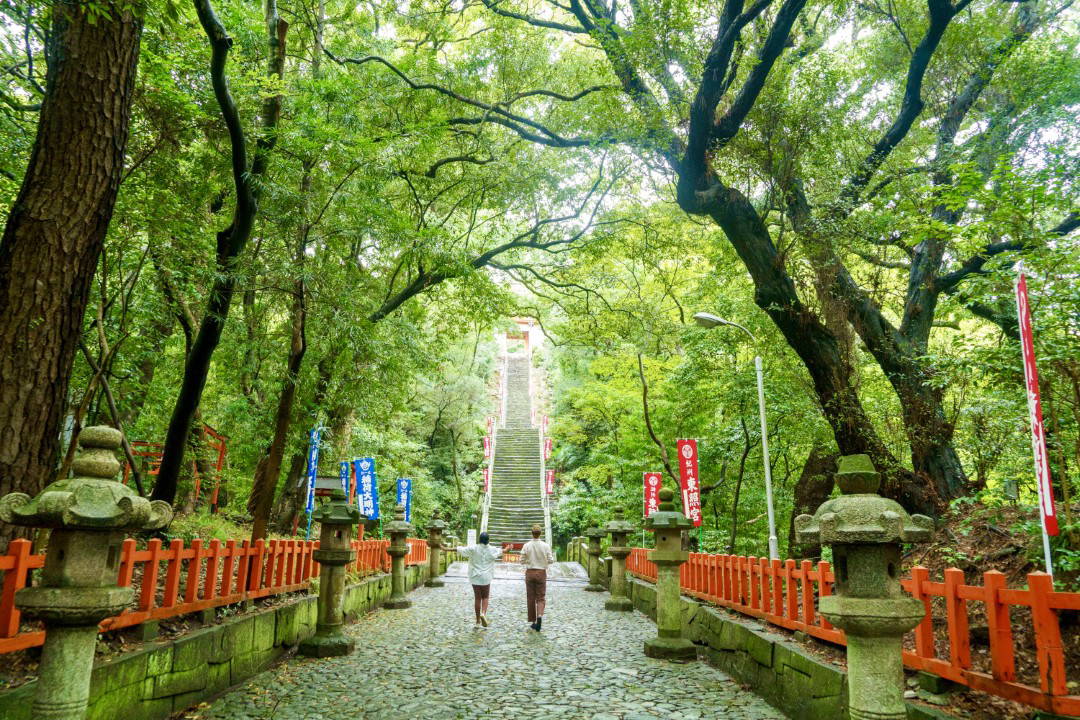 Wakayama 3-Day Tour: Castle, Crafts & Tuna-Cutting Show 2