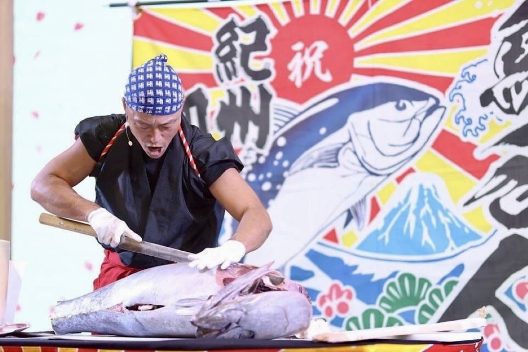 Wakayama 3-Day Tour: Castle, Crafts & Tuna-Cutting Show 3