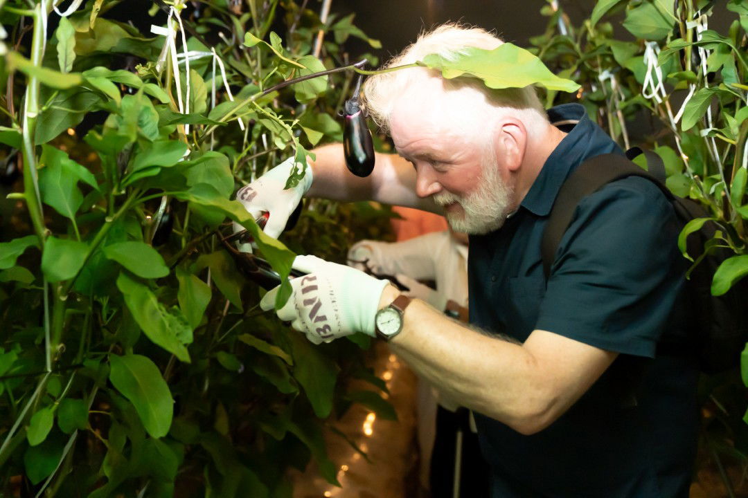 A guest of this farm food tour, harvesting his own vegetables.