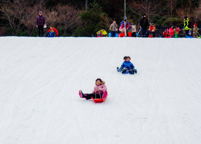 Children sledding down the snowy slopes of Mt. Rokko in Kobe.