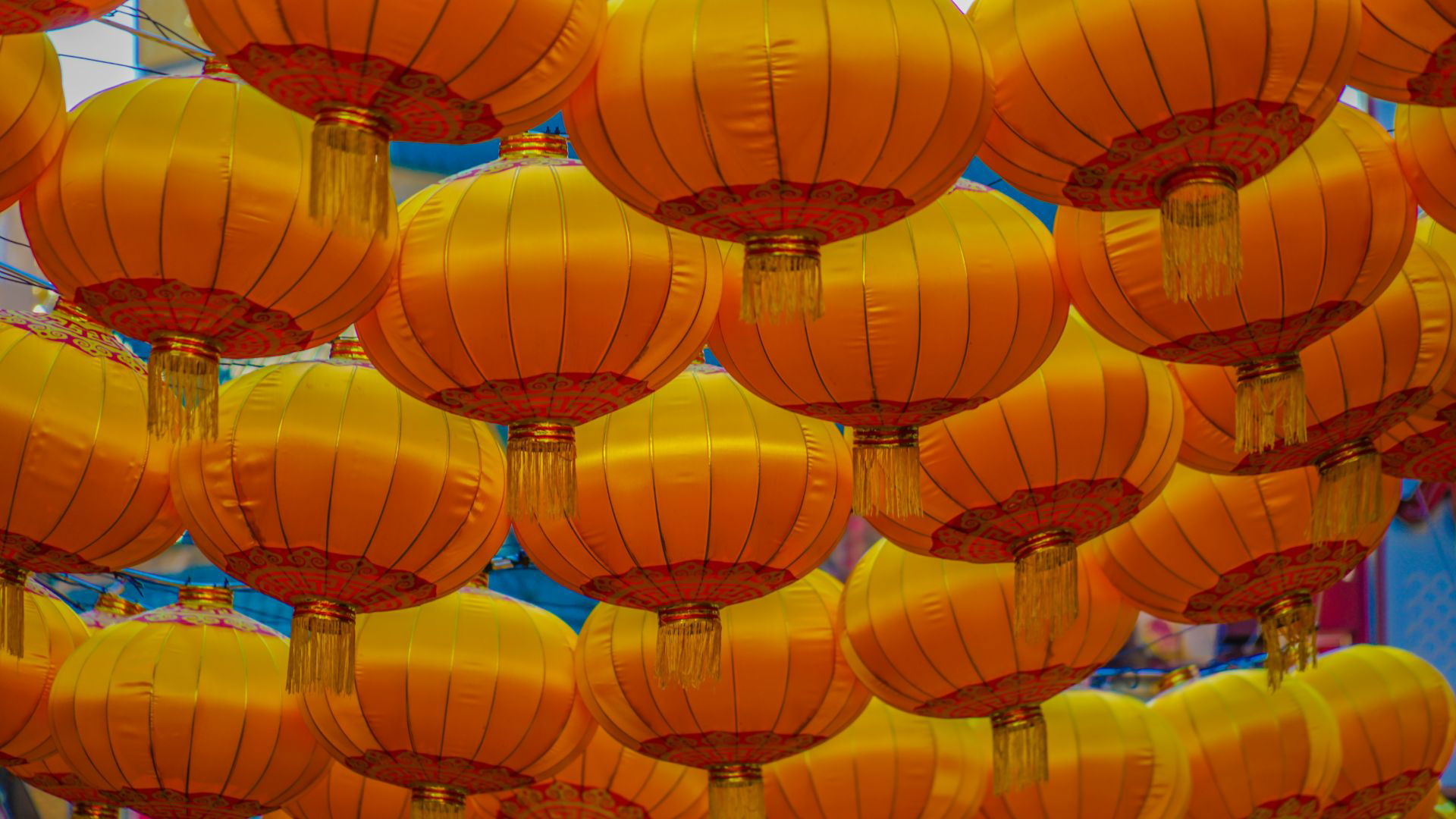 Vibrant yellow lanterns celebrating the Lunar New Year festival
