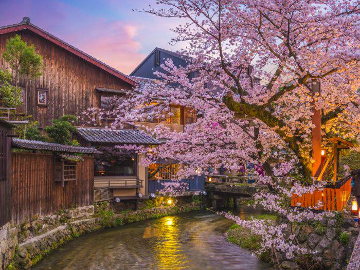 Gion made even more picturesque by blooming cherry blossoms.