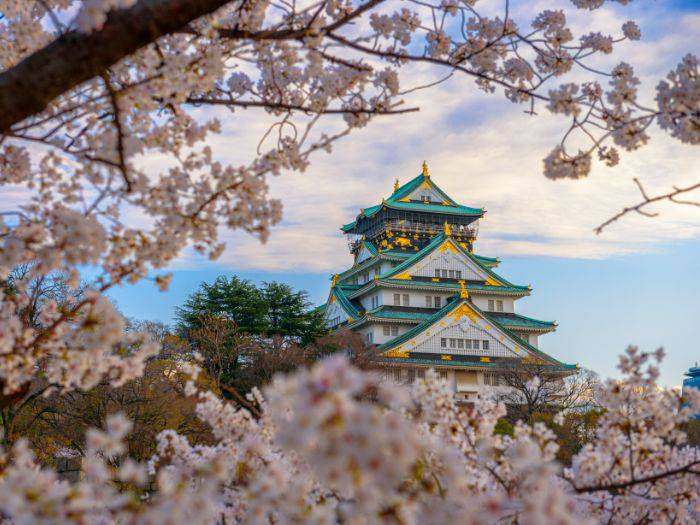 Osaka Castle framed by cherry blossoms.