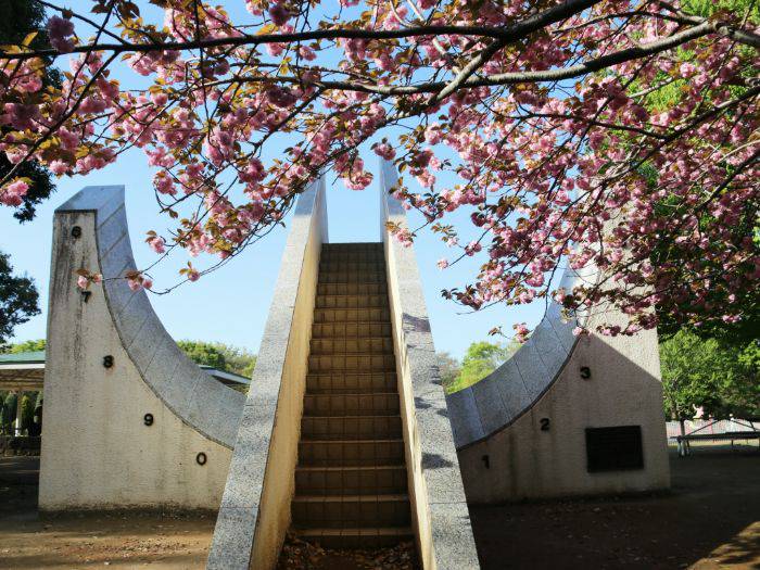 The unique installment of Funabashi H.C. Andersen Park, framed by sakura.