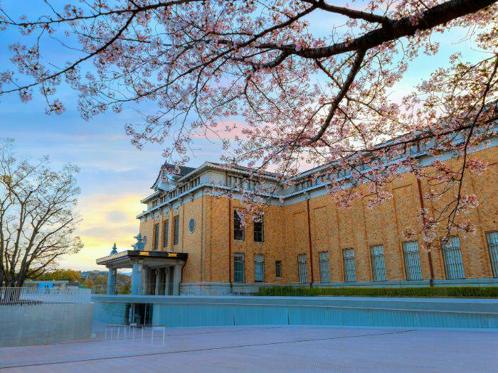 Kyoto City Kyocera Museum of Art, framed by blooming sakura.