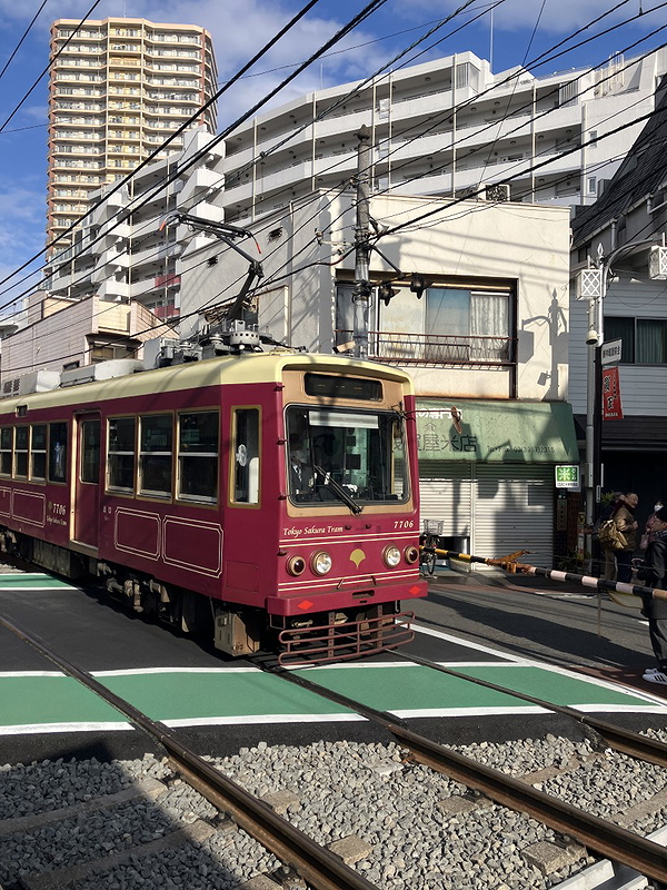 Sugamo, Tokyo: Jizo Dori Shopping Street Food & Culture Tour 1
