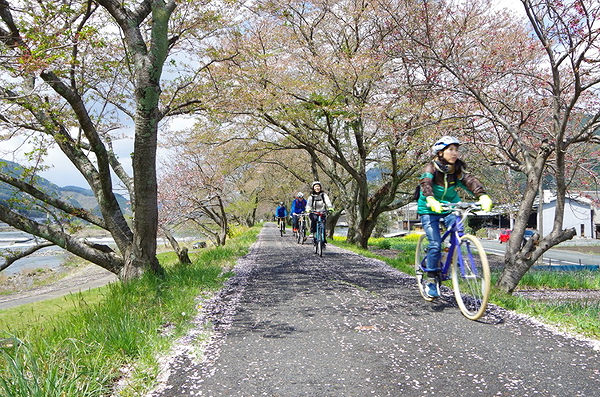 Bike Tour of Maniwa, Okayama w/ Lunch & Brewery Visit 1