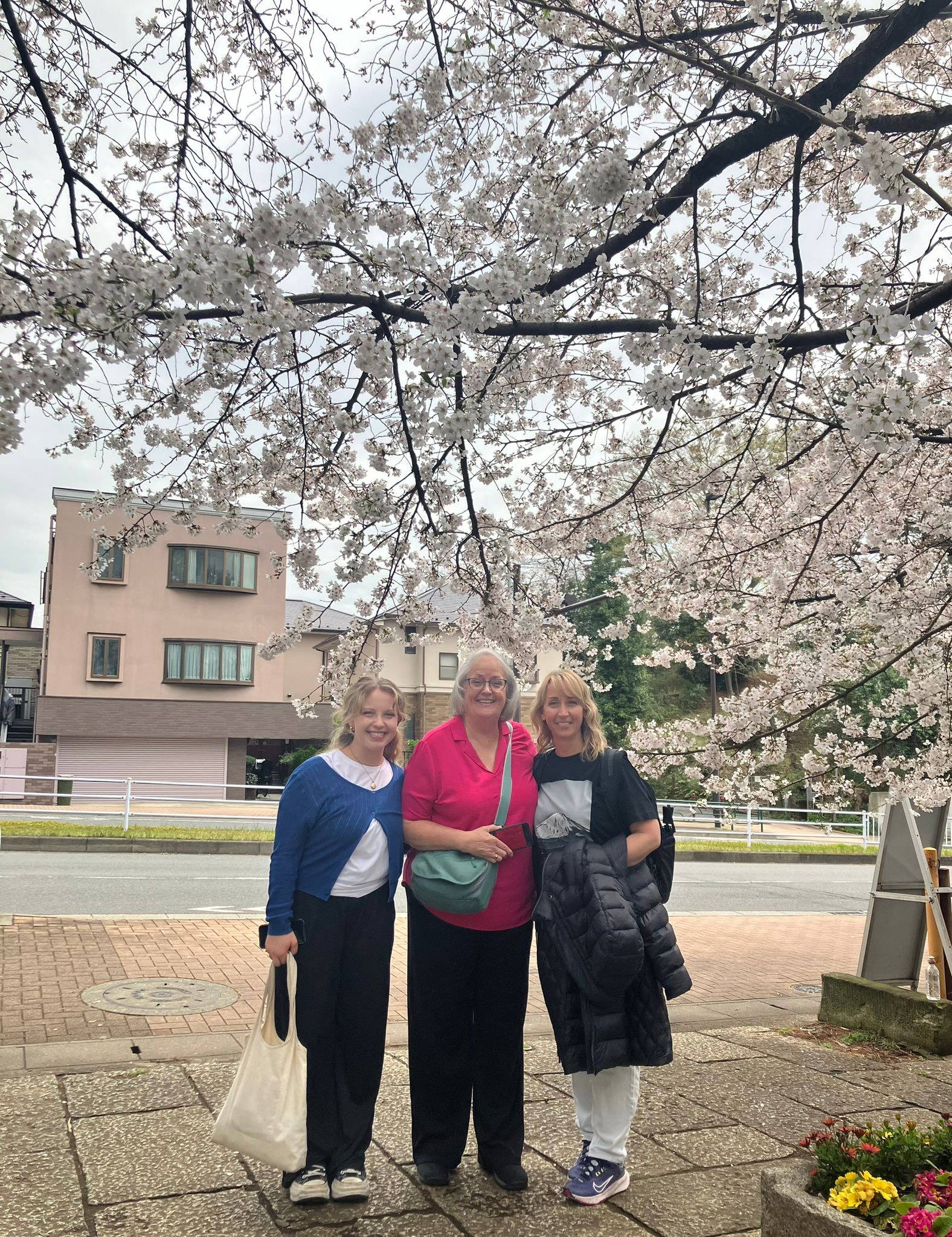 Nature Walk & Japanese Cooking Class in Tokyo: Ramen & Gyoza 1