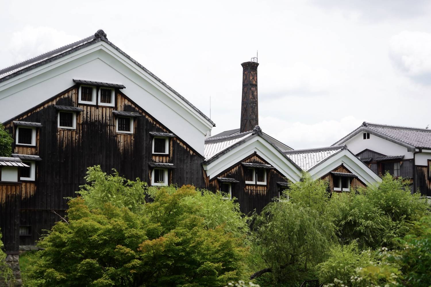 Authentic Sake Brewery Tour& Izakaya Cooking w Tasting｜Kyoto 1