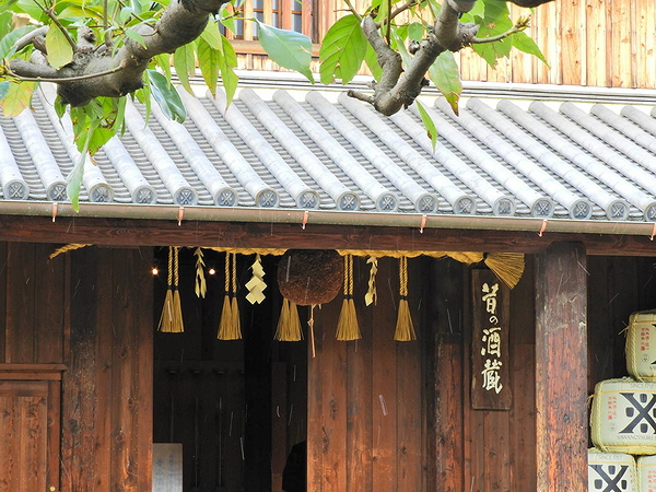 ★Just 1.5H! Easy Sake Brewery Tour from Osaka｜Kobe 1