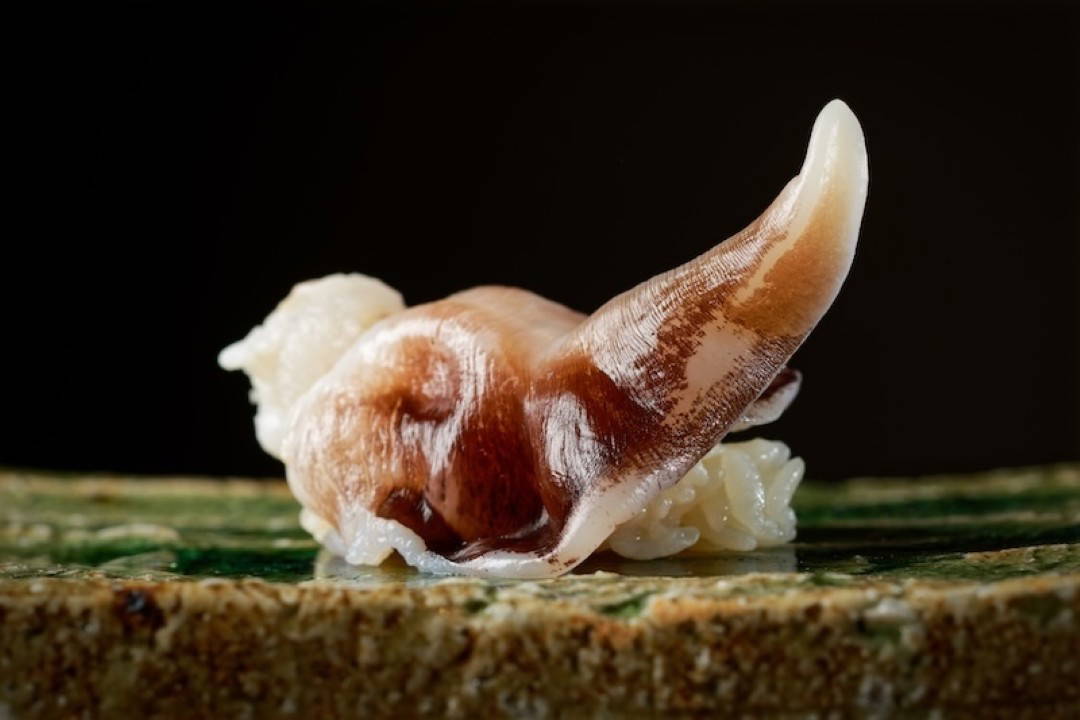 Fresh sushi topped with clam on ceramic plate in a Japanese restaurant