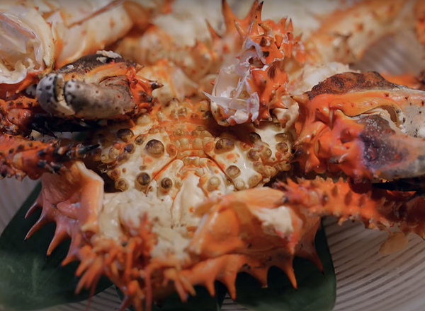 Fresh king crab served on a platter at a seafood restaurant