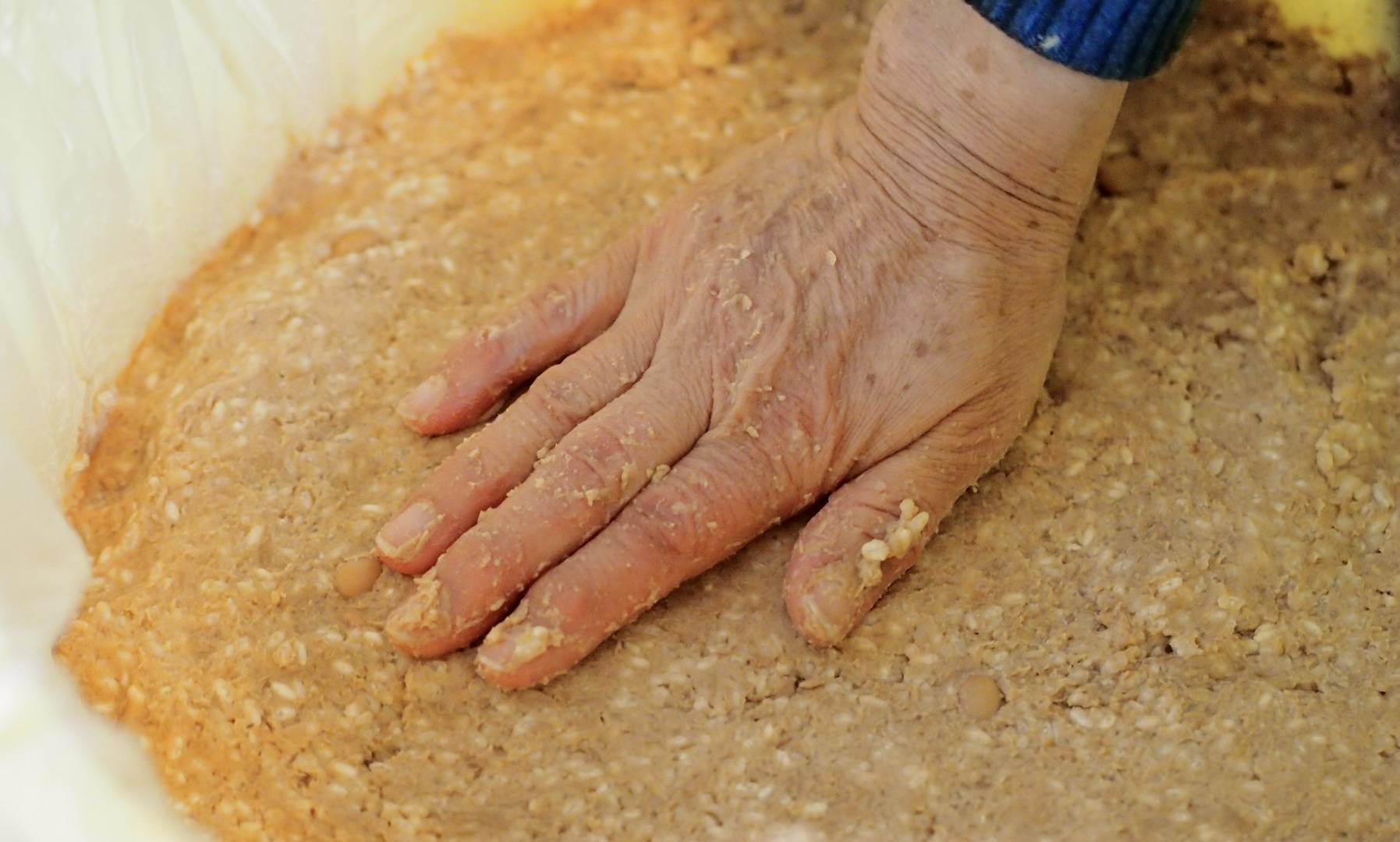 Hand pressing soybean mash during traditional miso preparation
