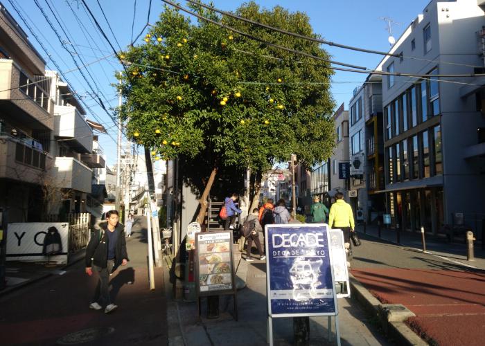 A quiet and peaceful backstreet in Harajuku.