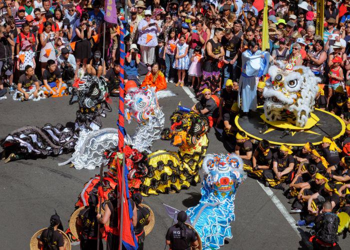 Traditional lion dance performance