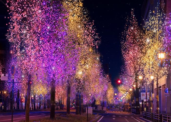 Winter Illumination Events in Osaka - Festival of Lights, Midosuji Avenue - trees with illumination decoration