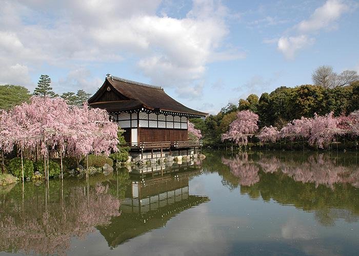 Heian Jingu Shrine building surrounded by cherry blossom trees reflected in the pond