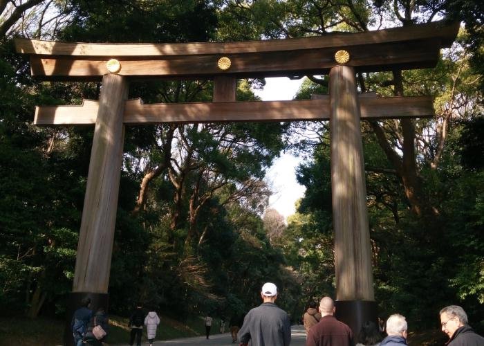 Wooden tori gate at Meiji Jingu Shrine