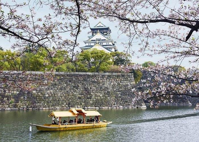 Osaka cherry blossom viewing spot from the Osaka Water Taxi, showing Osaka Castle surrounded by cherry blossom trees