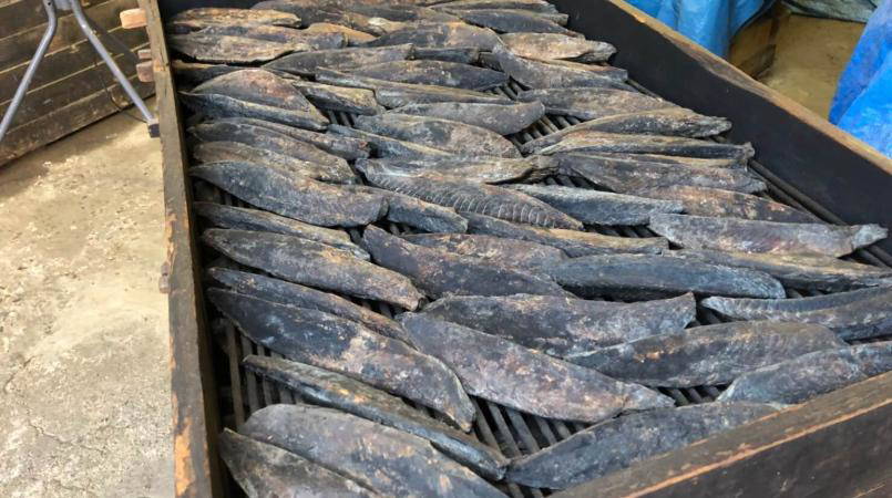 Dashi Tasting and Bonito Tour in Mie 6