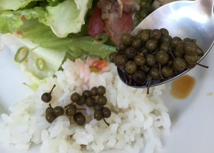 Round pepper on white rice and in a spoon next to green salad