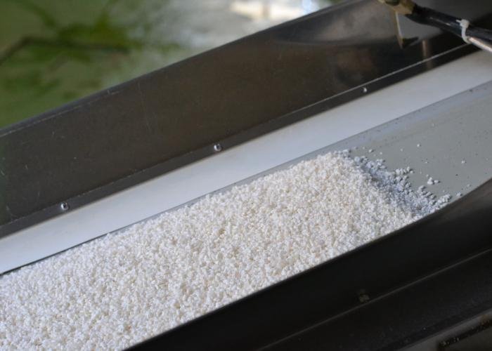 Sake rice on a conveyor belt