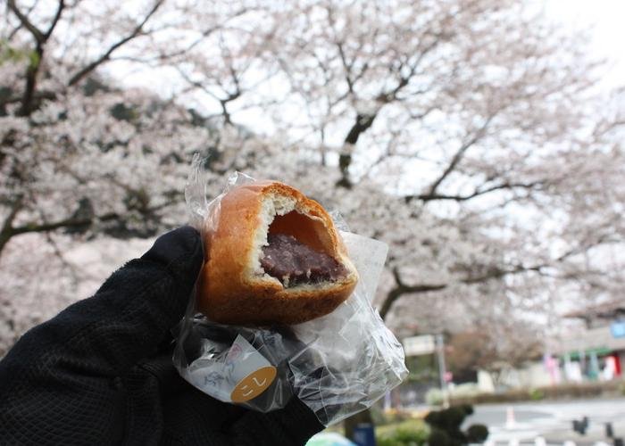 Cross-section of an anpan revealing the sweet red bean inside, against a backdrop of cherry blossom trees at the park