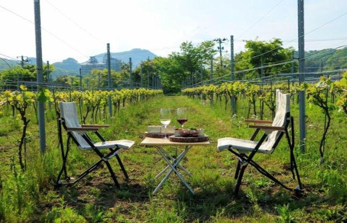 Two chairs and a table with wine glasses and food on a table in a field