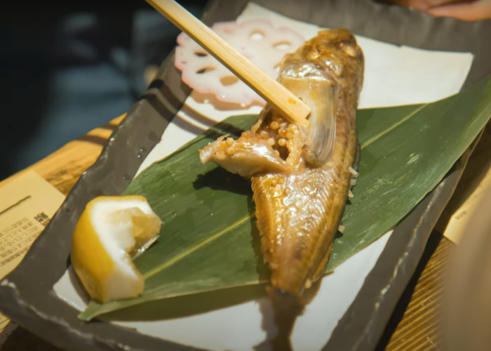 A pair of chopsticks reveals the eggs inside a cooked fish at the Akita Namahage Restaurant 