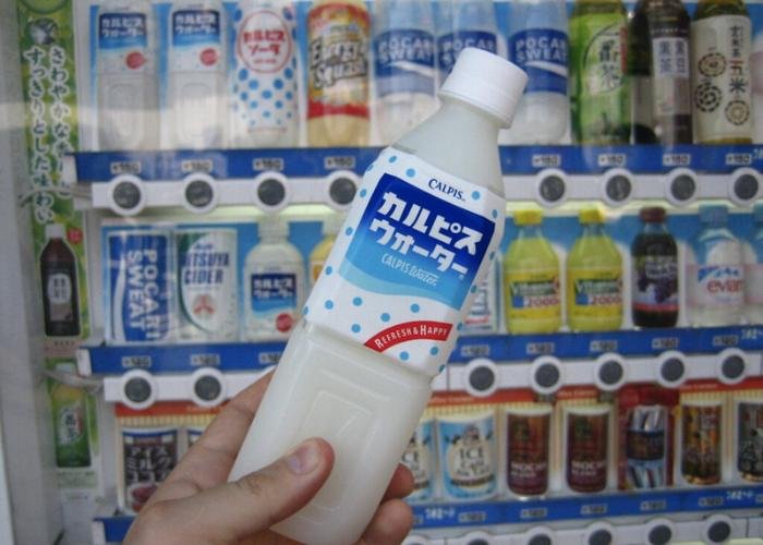 A hand holds out a bottle of Calpis in front of a vending machine, it is a milky-colored drink with a blue label 