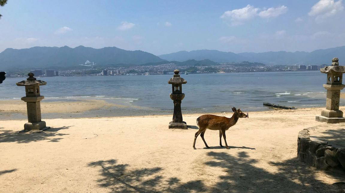 Seto Inland Sea Leisure Cruise and Food Tour in Hiroshima 2