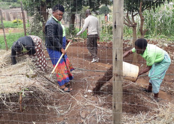 A boy tosses a bucket of compost into a field