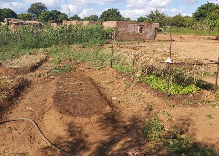 Food for Happiness Sustainable Vegetable Garden Patch in South Africa