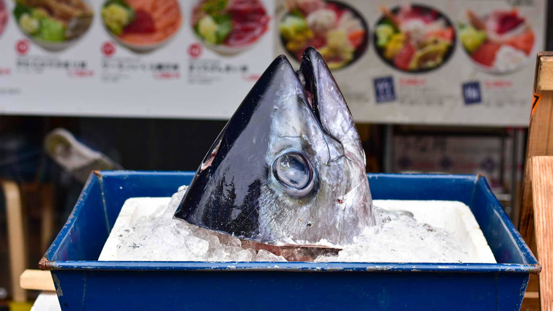 Fresh fish head on ice at seafood market display